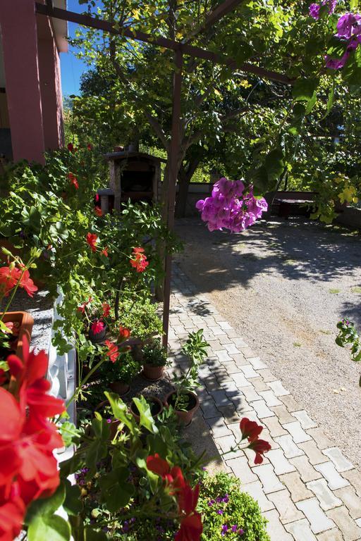 Apartments Zile Starigrad Paklenica Εξωτερικό φωτογραφία