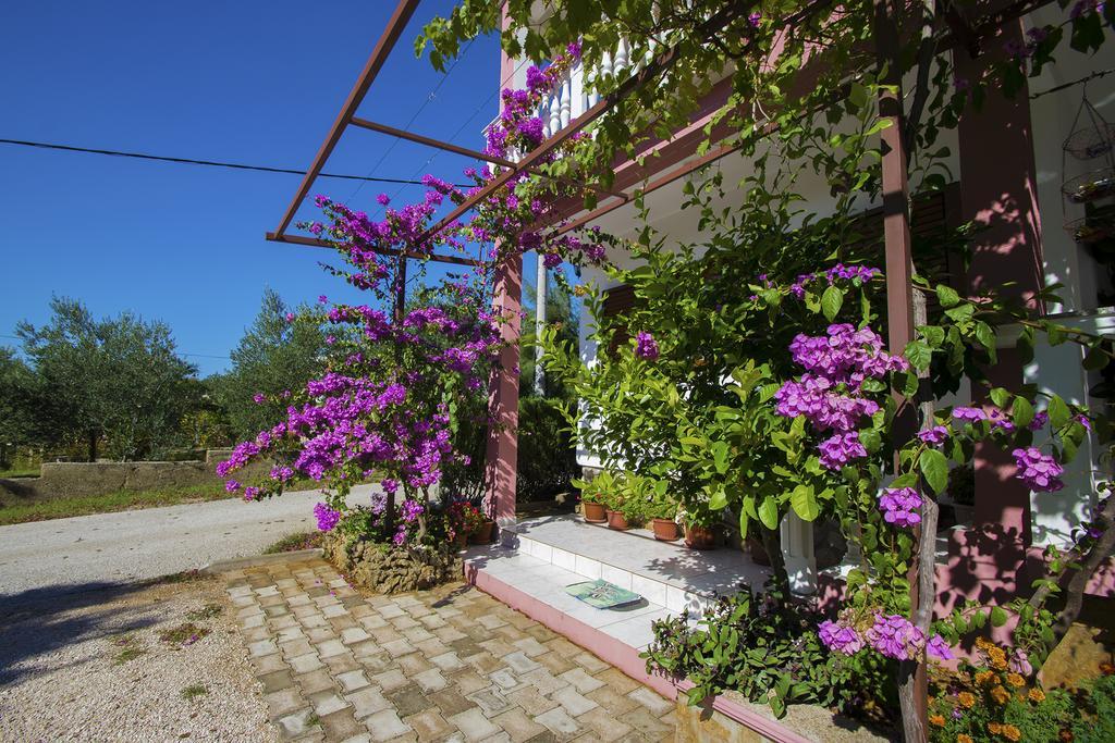 Apartments Zile Starigrad Paklenica Εξωτερικό φωτογραφία