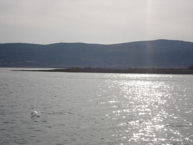 Apartments Zile Starigrad Paklenica Εξωτερικό φωτογραφία