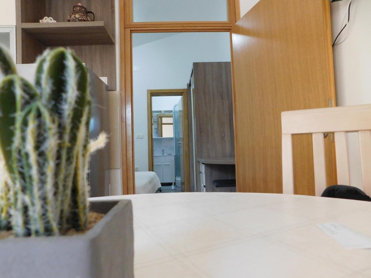 Apartments Zile Starigrad Paklenica Εξωτερικό φωτογραφία